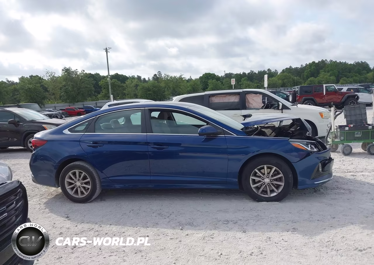 2019 Hyundai Sonata Se VIN:5NPE24AF8KH792656 - 13