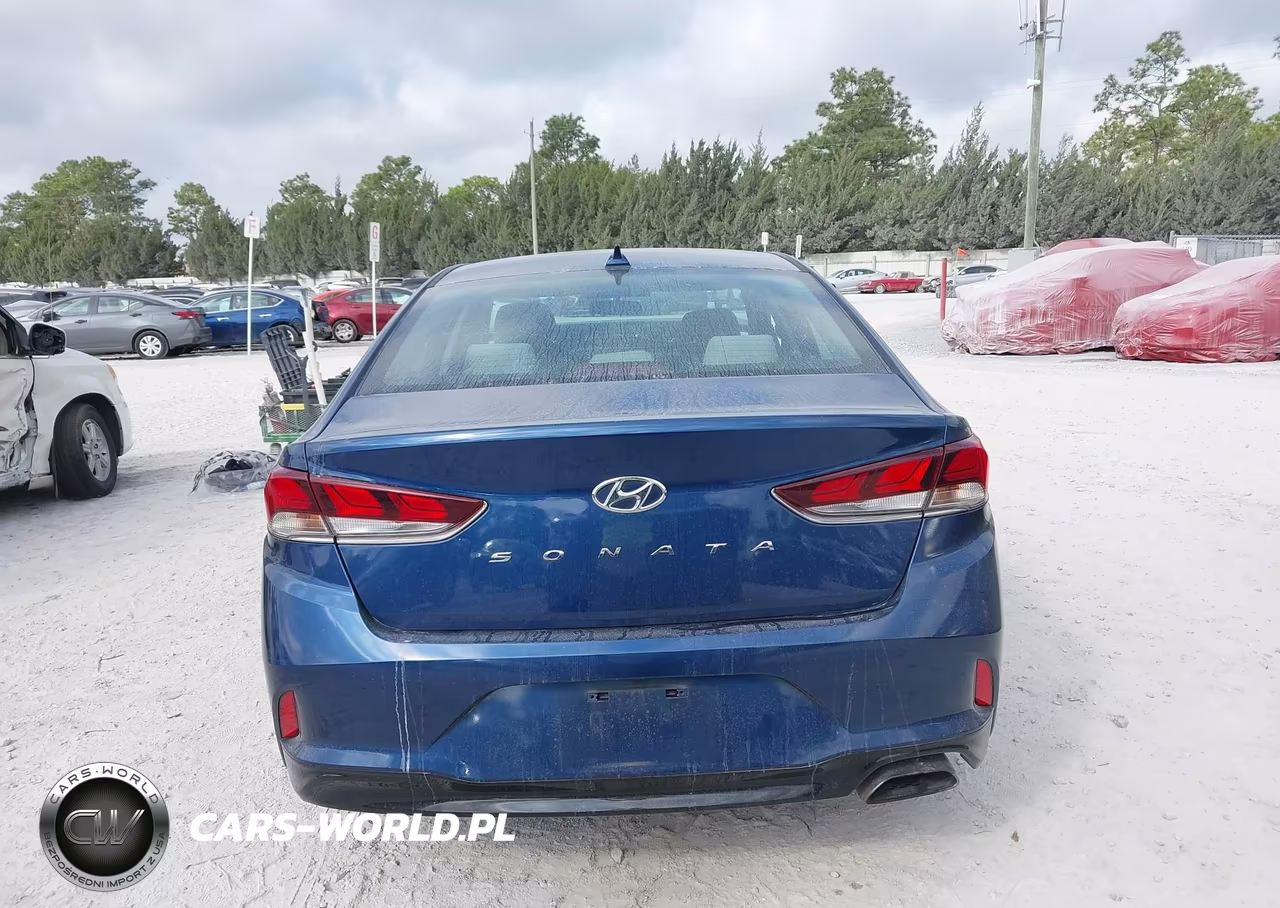 2019 Hyundai Sonata Se VIN:5NPE24AF8KH792656 - 16