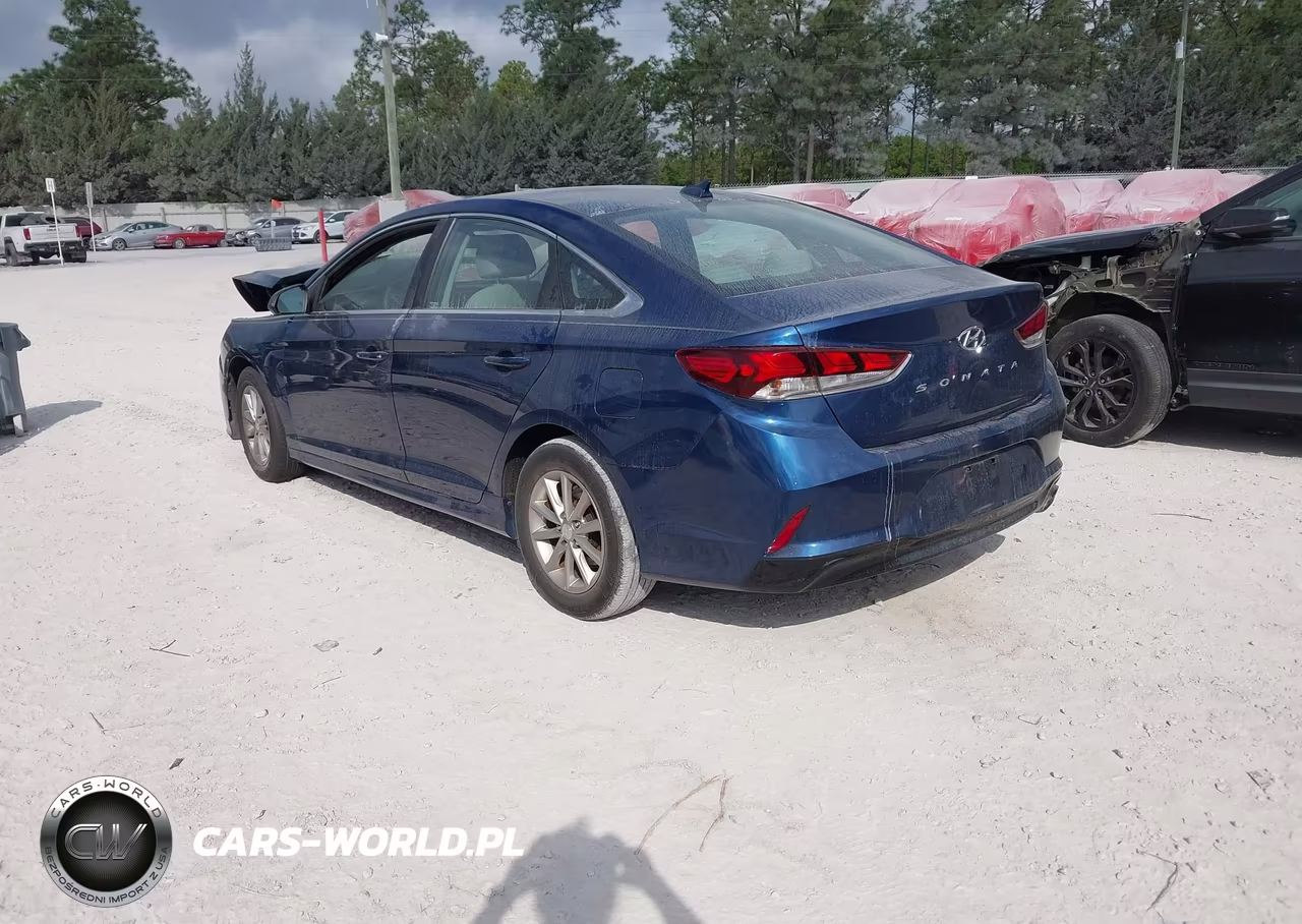 2019 Hyundai Sonata Se VIN:5NPE24AF8KH792656 - 3