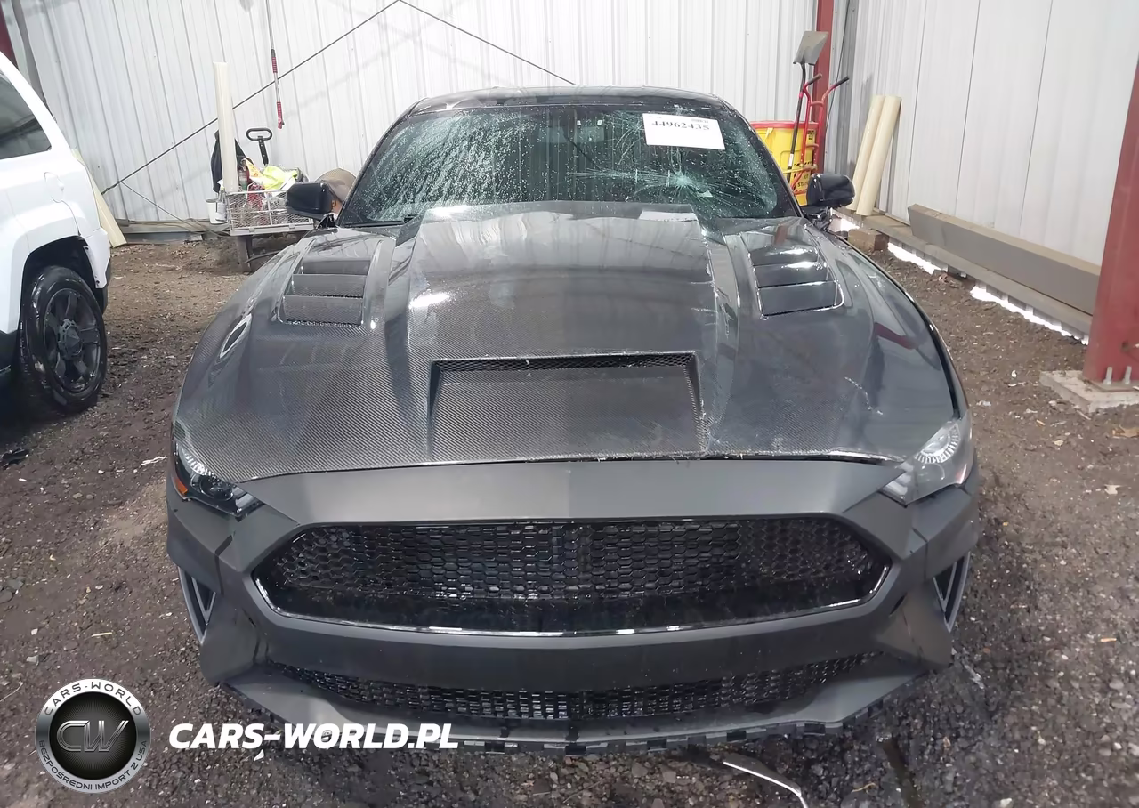 2020 Ford Mustang Ecoboost Premium Fastback VIN:1FA6P8TH1L5112504 - 13