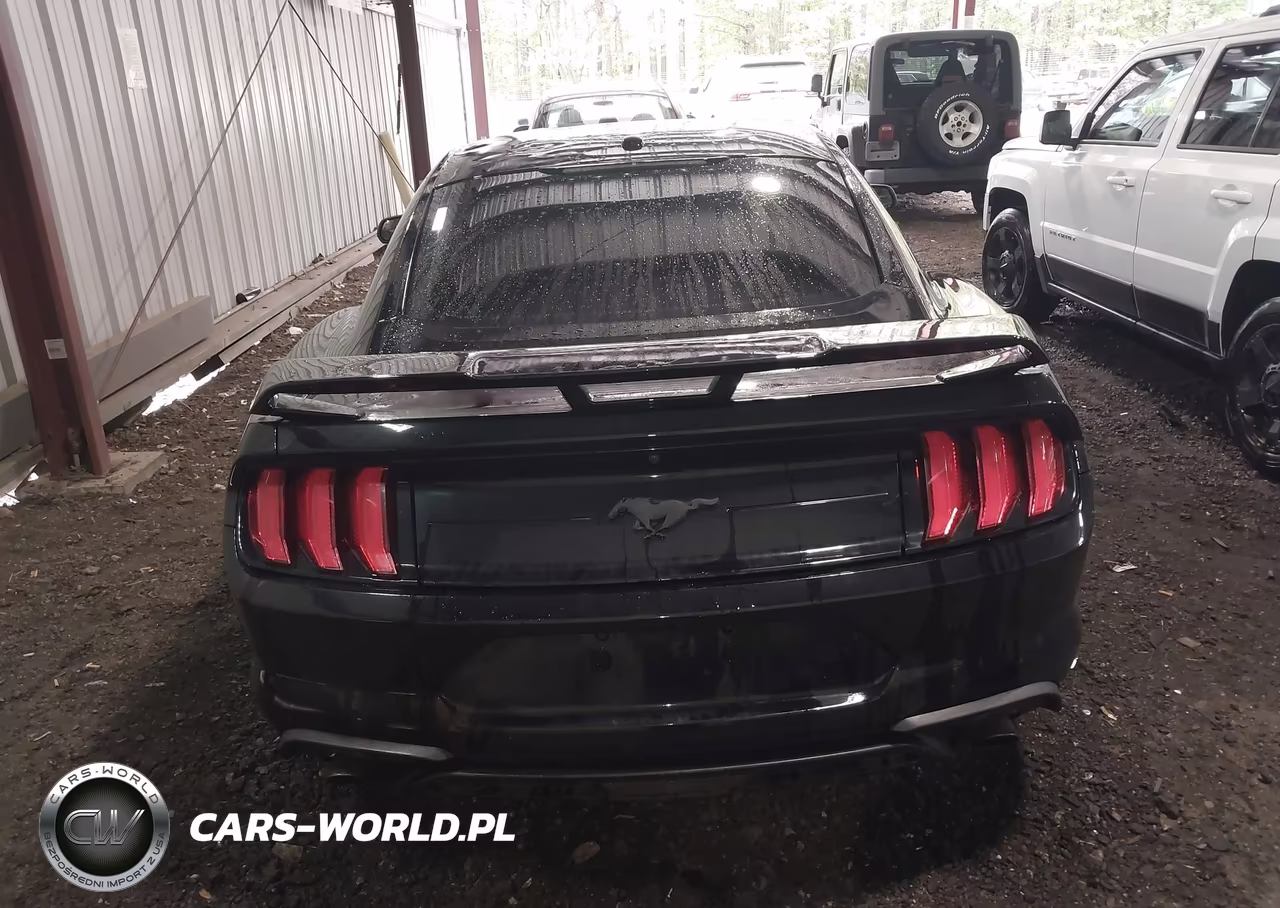 2020 Ford Mustang Ecoboost Premium Fastback VIN:1FA6P8TH1L5112504 - 17