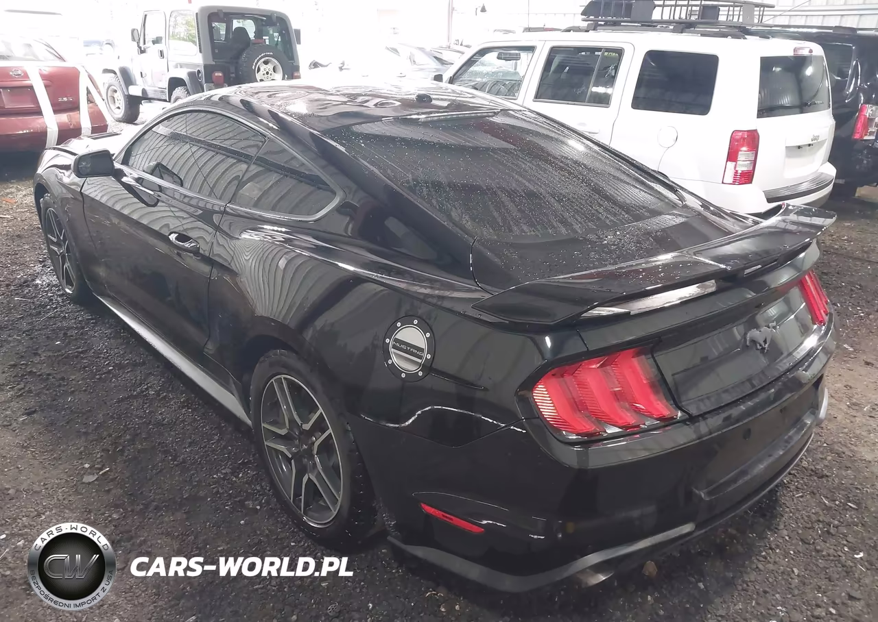 2020 Ford Mustang Ecoboost Premium Fastback VIN:1FA6P8TH1L5112504 - 3