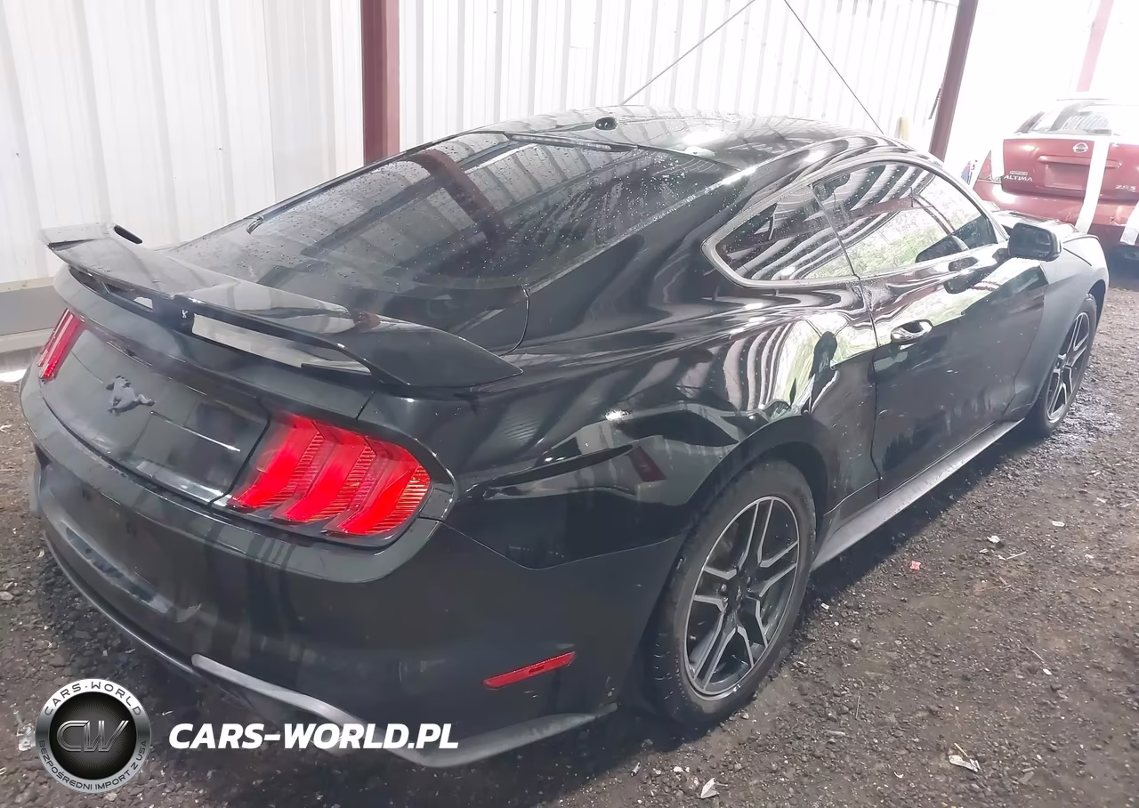 2020 Ford Mustang Ecoboost Premium Fastback VIN:1FA6P8TH1L5112504 - 4