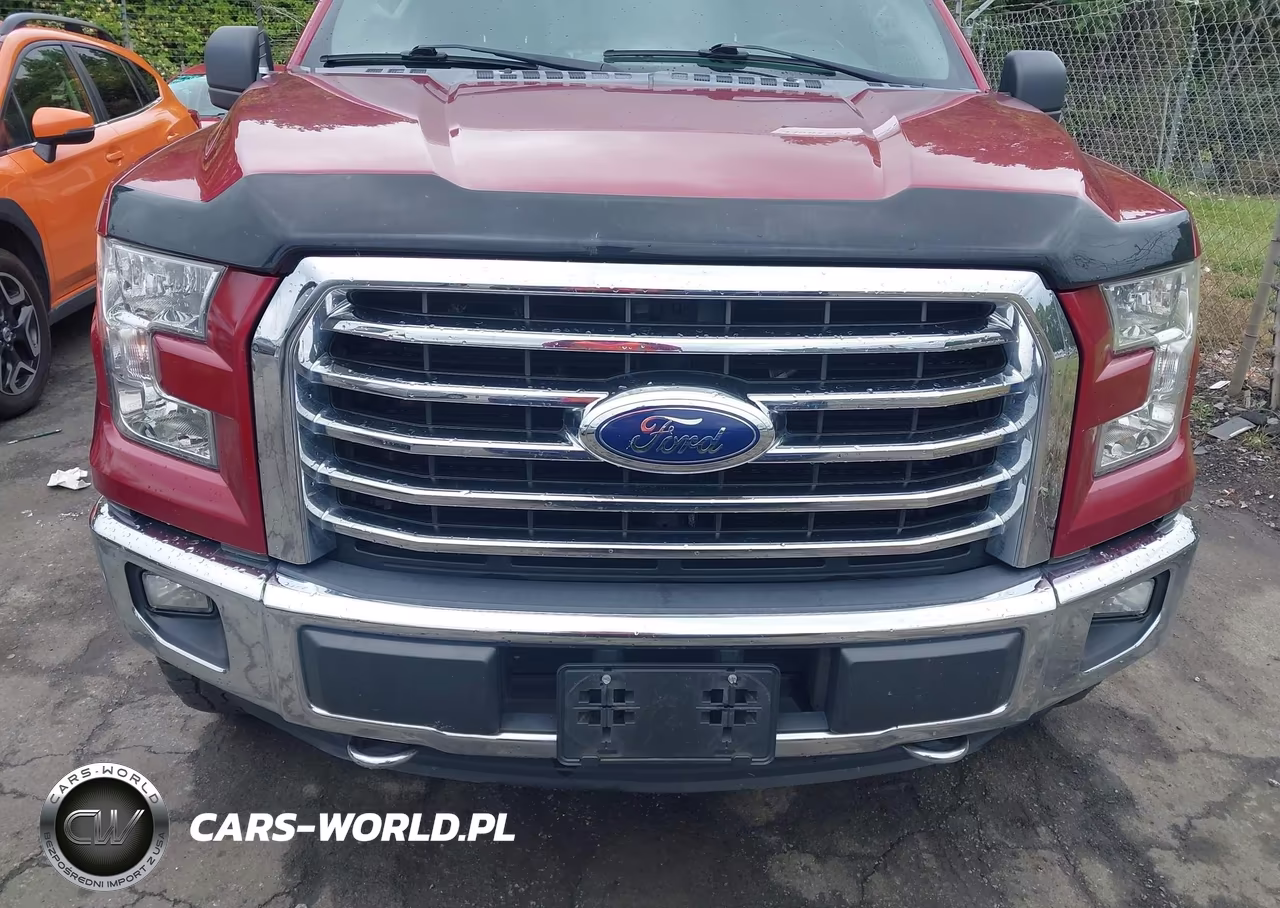 2015 Ford F-150 Xlt VIN:1FTEW1EP3FKE99678 - 12