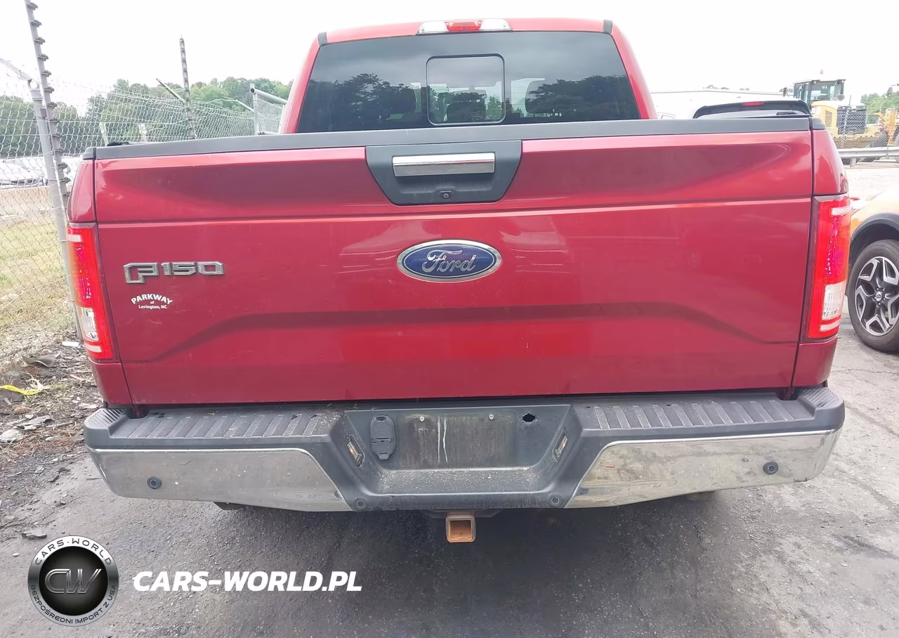 2015 Ford F-150 Xlt VIN:1FTEW1EP3FKE99678 - 16