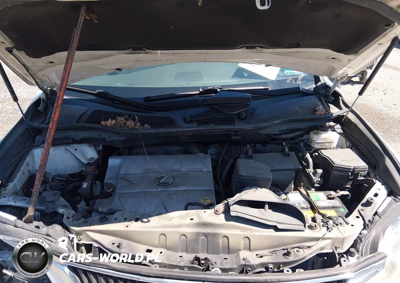 2011 Lexus Rx 350 VIN:2T2BK1BA7BC087155 - 10