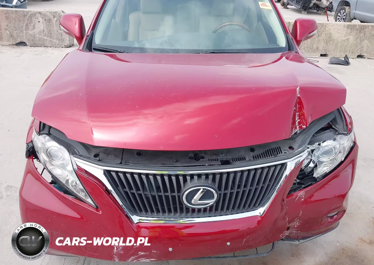 2010 Lexus Rx 350 VIN:JTJZK1BA0A2408353 - 18