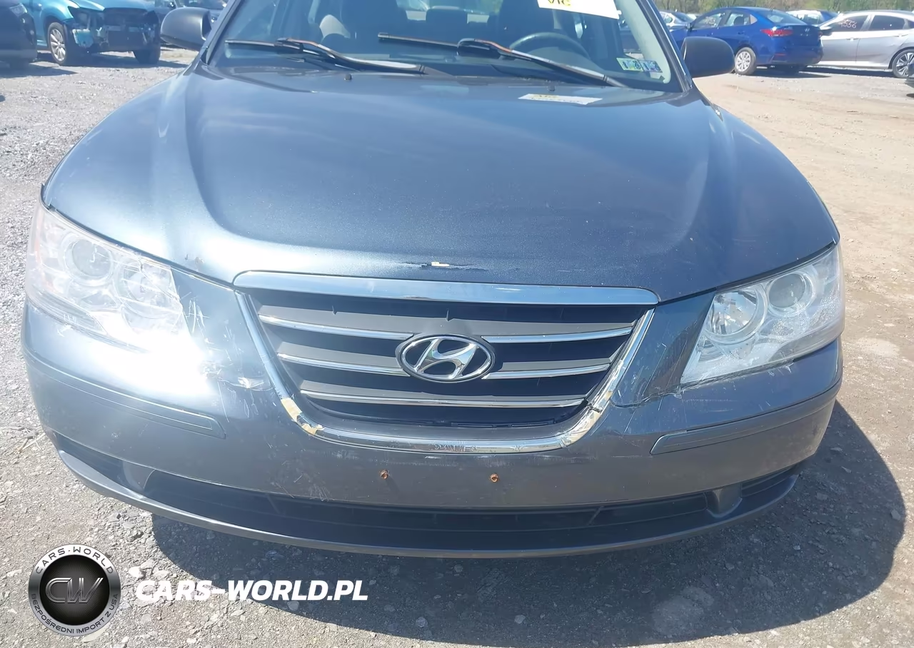 2010 Hyundai Sonata Gls VIN:5NPET4AC1AH637996 - 6