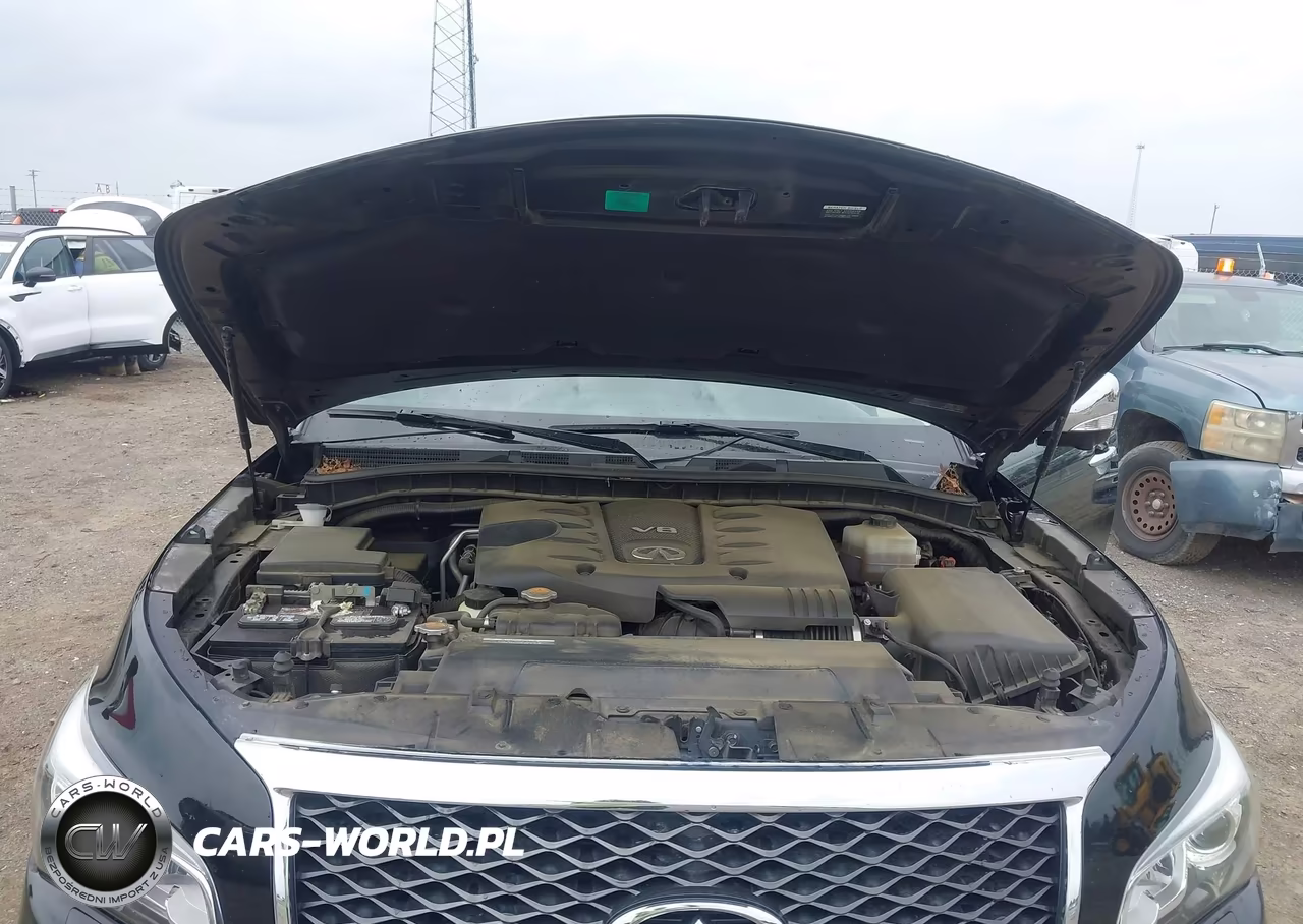 2017 Infiniti Qx80 VIN:JN8AZ2NF1H9645819 - 10