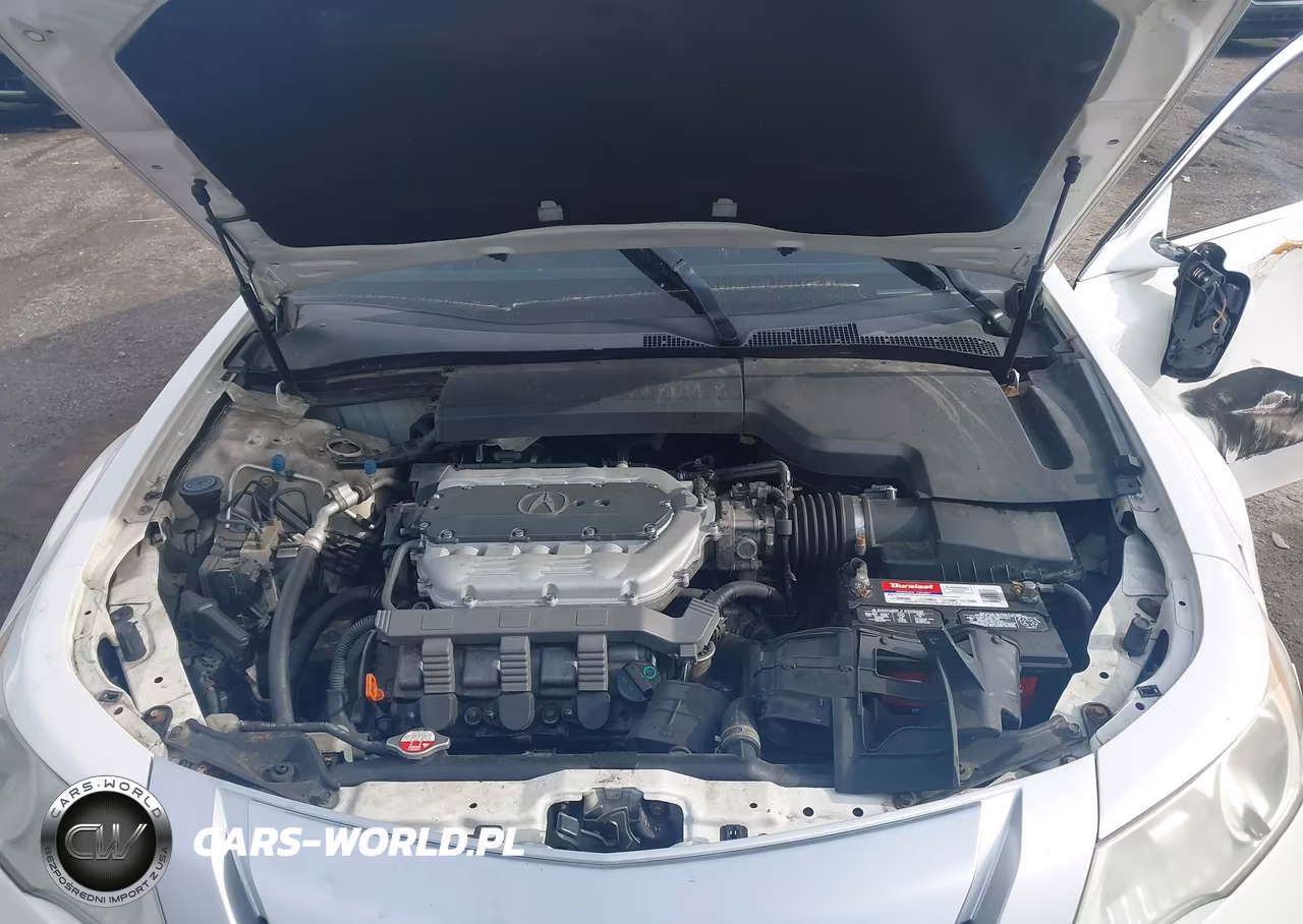 2009 Acura Tl 3.5 VIN:19UUA865X9A021138 - 10
