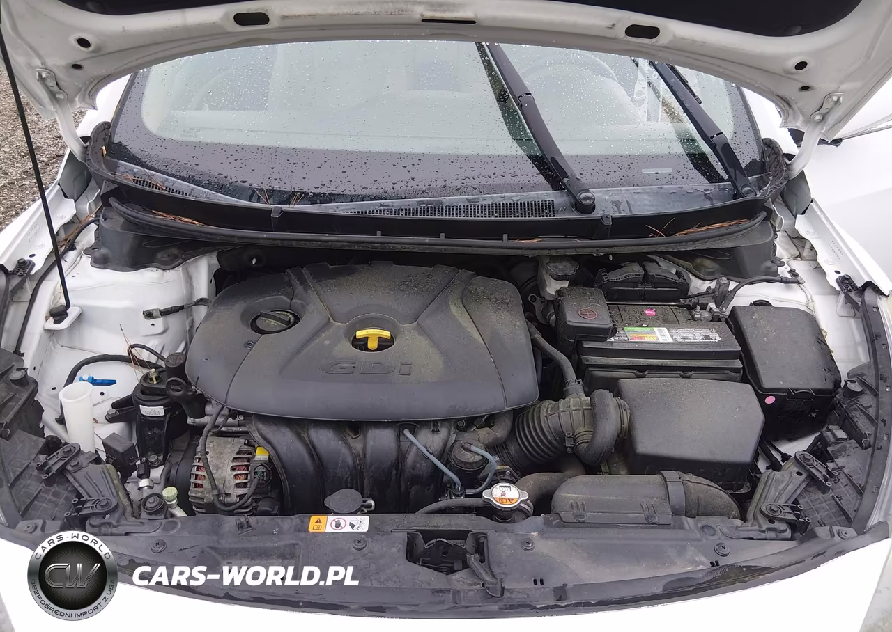 2016 Hyundai Elantra Gt VIN:KMHD35LHXGU269600 - 10