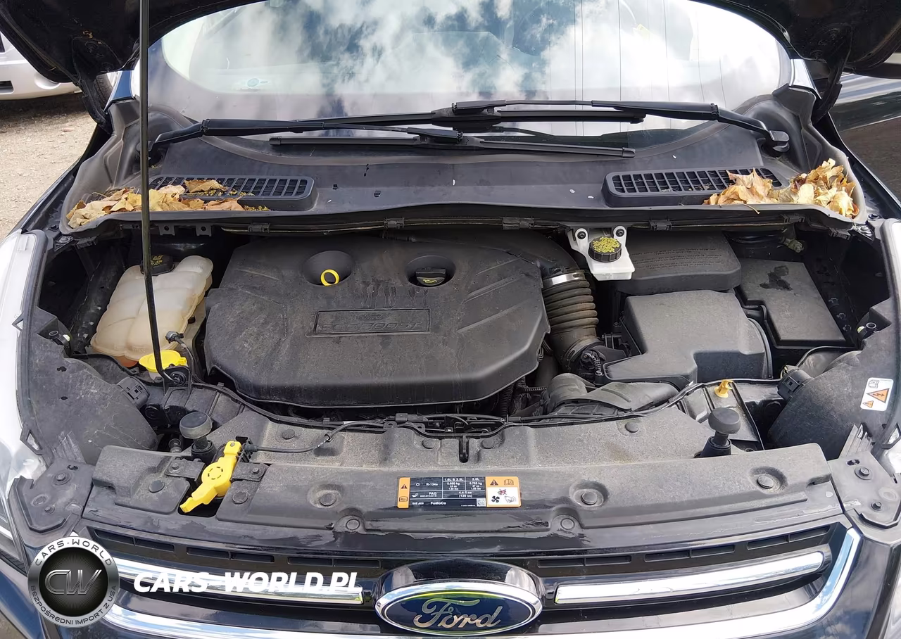 2015 Ford Escape Titanium VIN:1FMCU9J92FUC02810 - 10