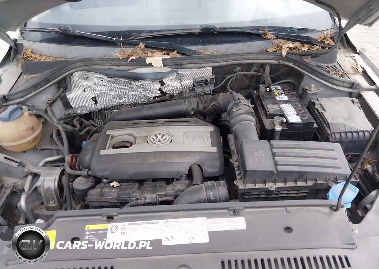 2014 Volkswagen Tiguan Se VIN:WVGAV3AX7EW551738 - 10
