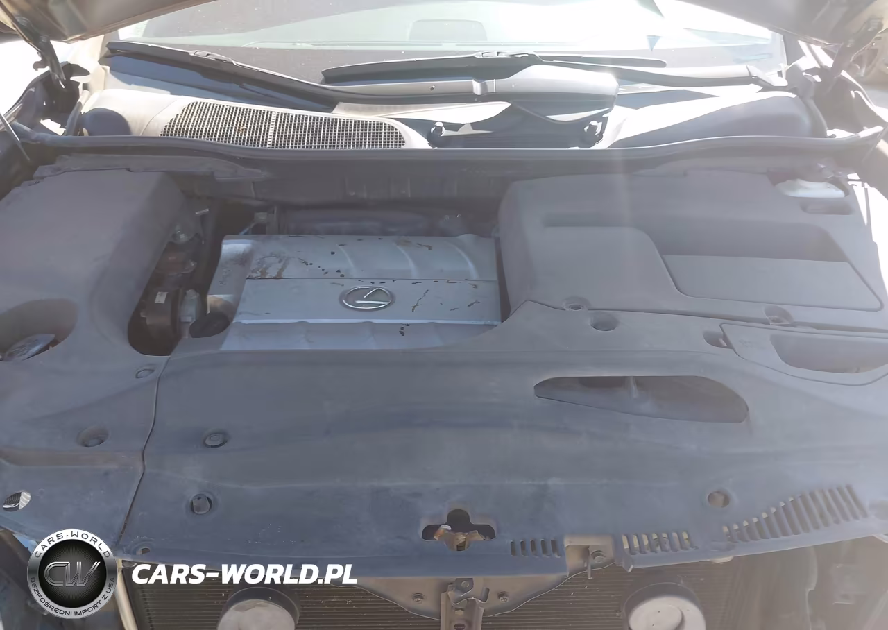 2013 Lexus Rx 350 VIN:2T2BK1BA8DC207578 - 10