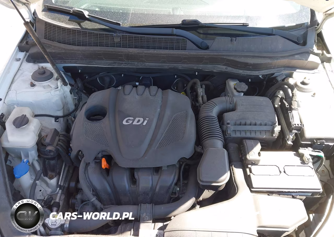 2014 Kia Optima Ex VIN:5XXGN4A79EG347738 - 10
