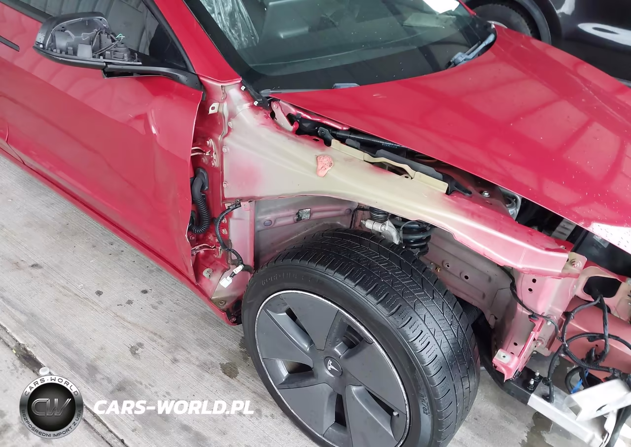 2021 Tesla Model 3 Standard Range Plus Rear-Wheel Drive VIN:5YJ3E1EA8MF922724 - 19