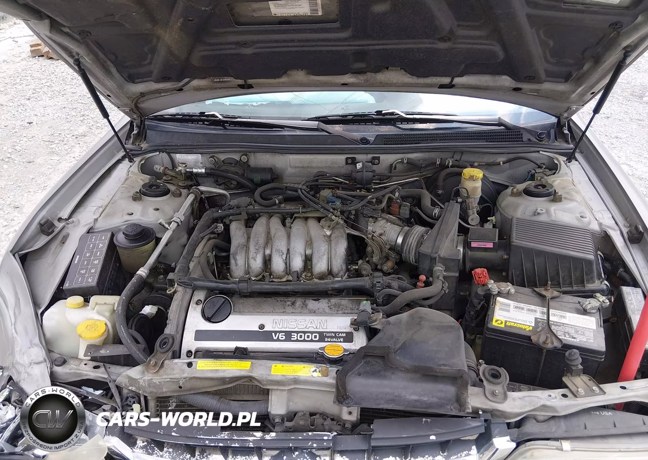 1999 Nissan Maxima Gle-Gxe-Se-Se-L VIN:JN1CA21D6XT215725 - 10