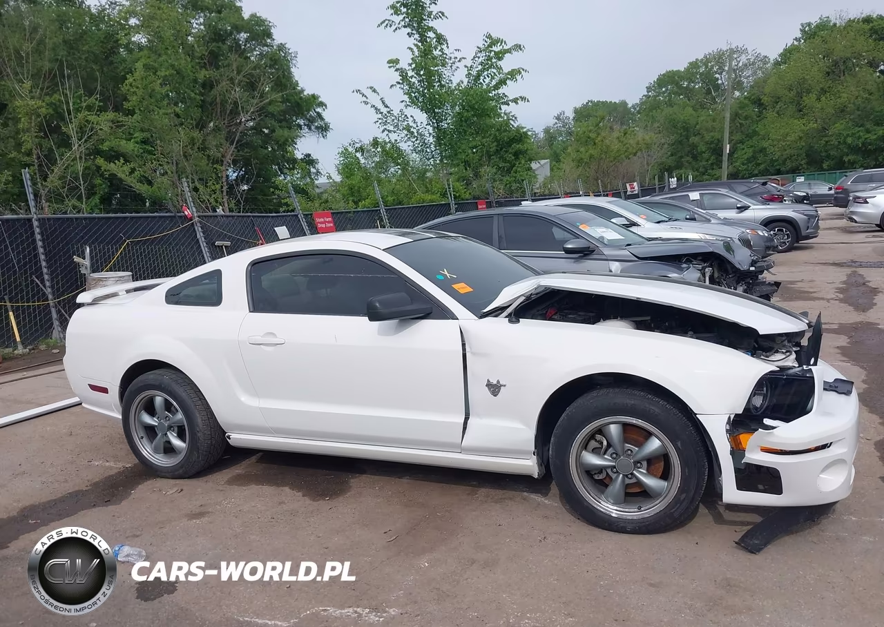 2009 Ford Mustang Gt Premium VIN:1ZVHT82H495133594 - 14