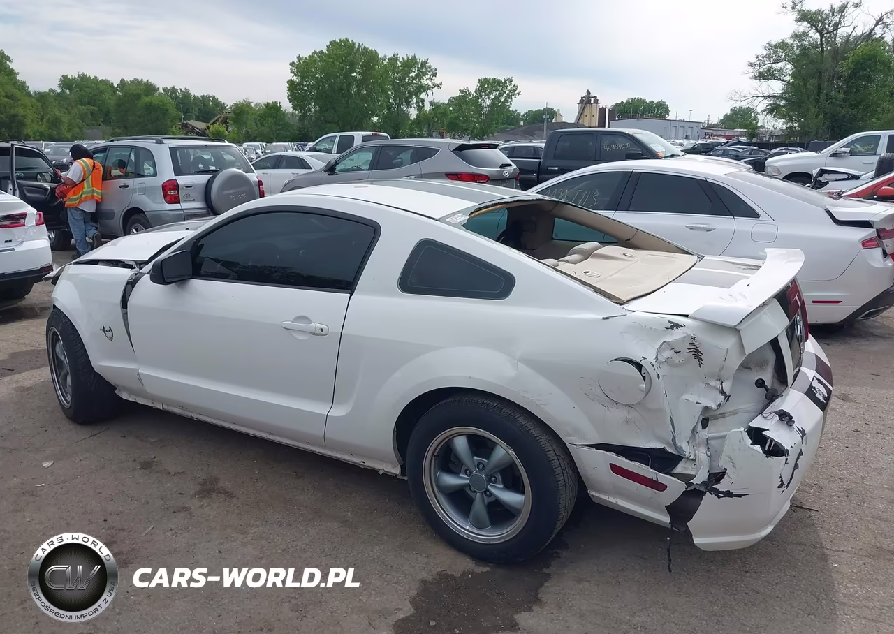 2009 Ford Mustang Gt Premium VIN:1ZVHT82H495133594 - 15
