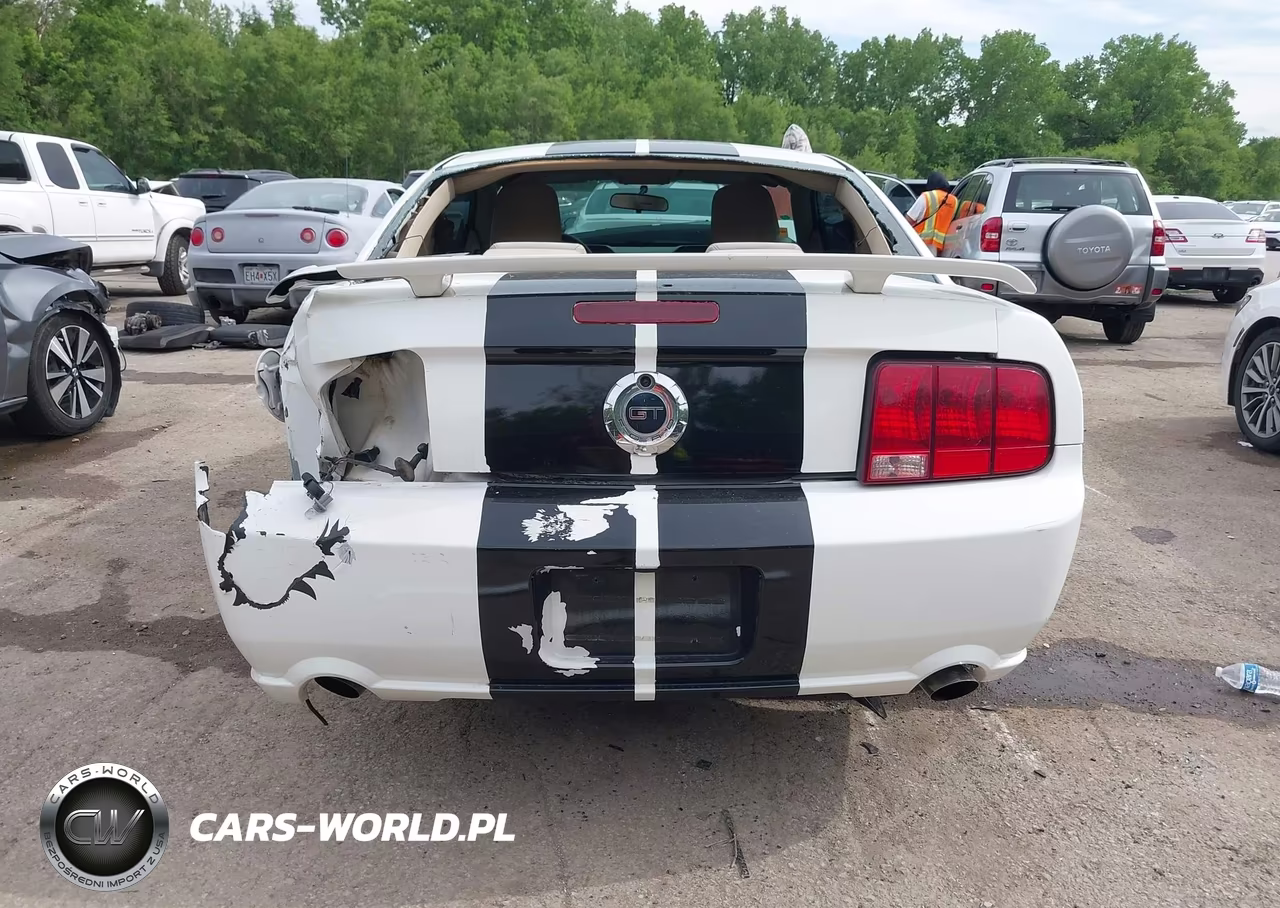 2009 Ford Mustang Gt Premium VIN:1ZVHT82H495133594 - 17