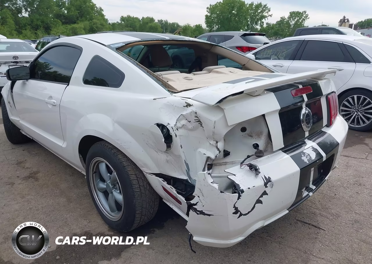 2009 Ford Mustang Gt Premium VIN:1ZVHT82H495133594 - 18