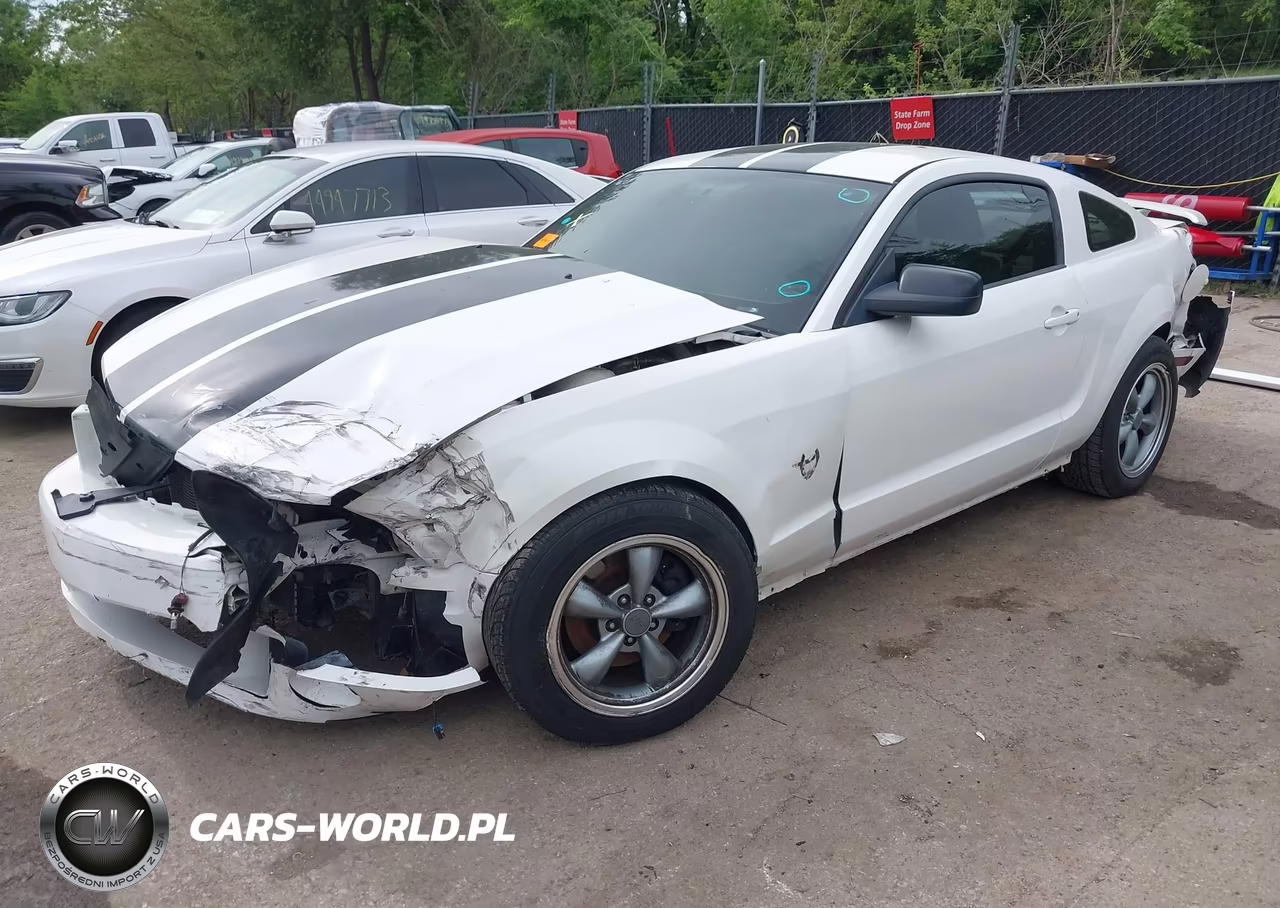 2009 Ford Mustang Gt Premium VIN:1ZVHT82H495133594 - 2