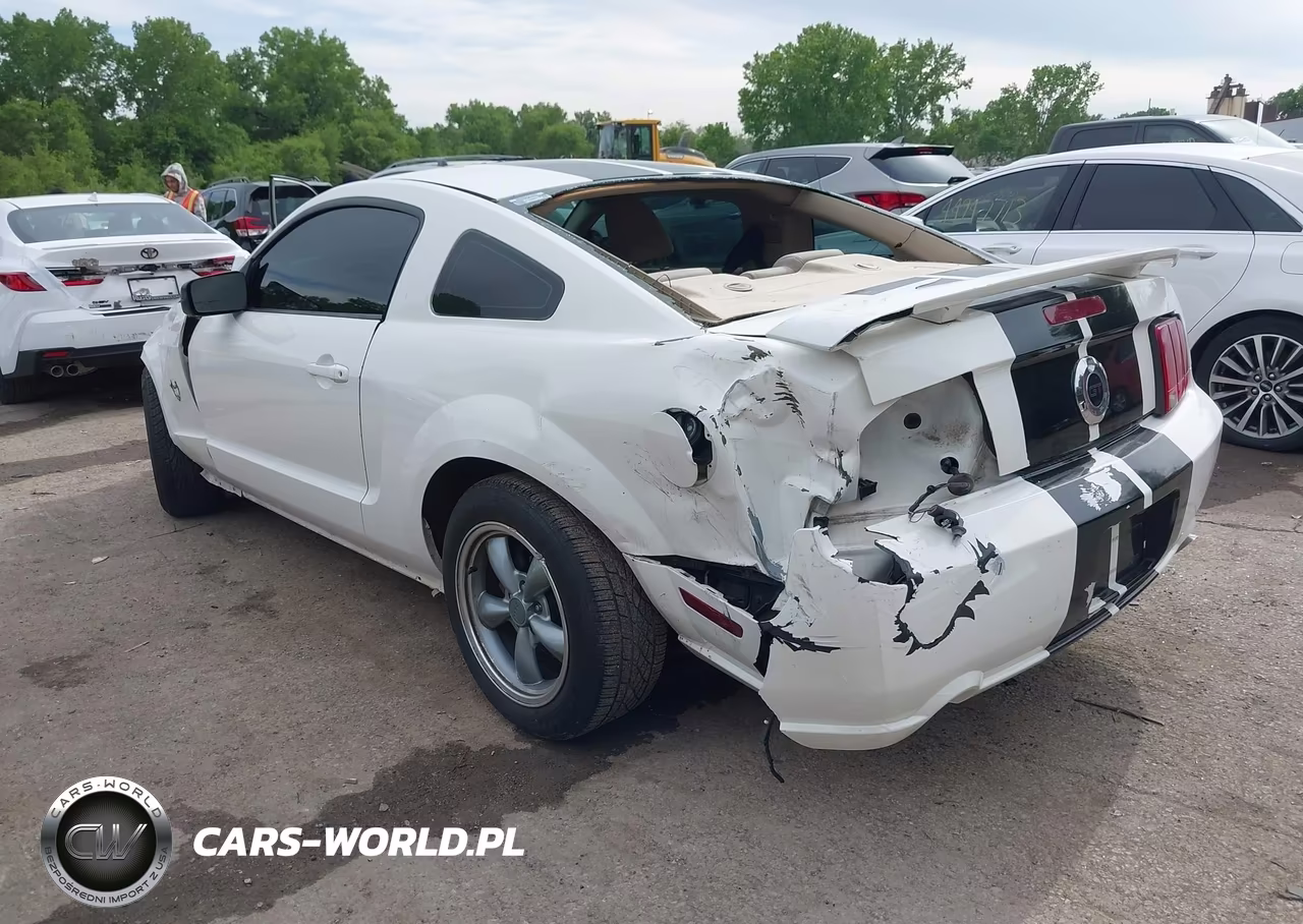2009 Ford Mustang Gt Premium VIN:1ZVHT82H495133594 - 3