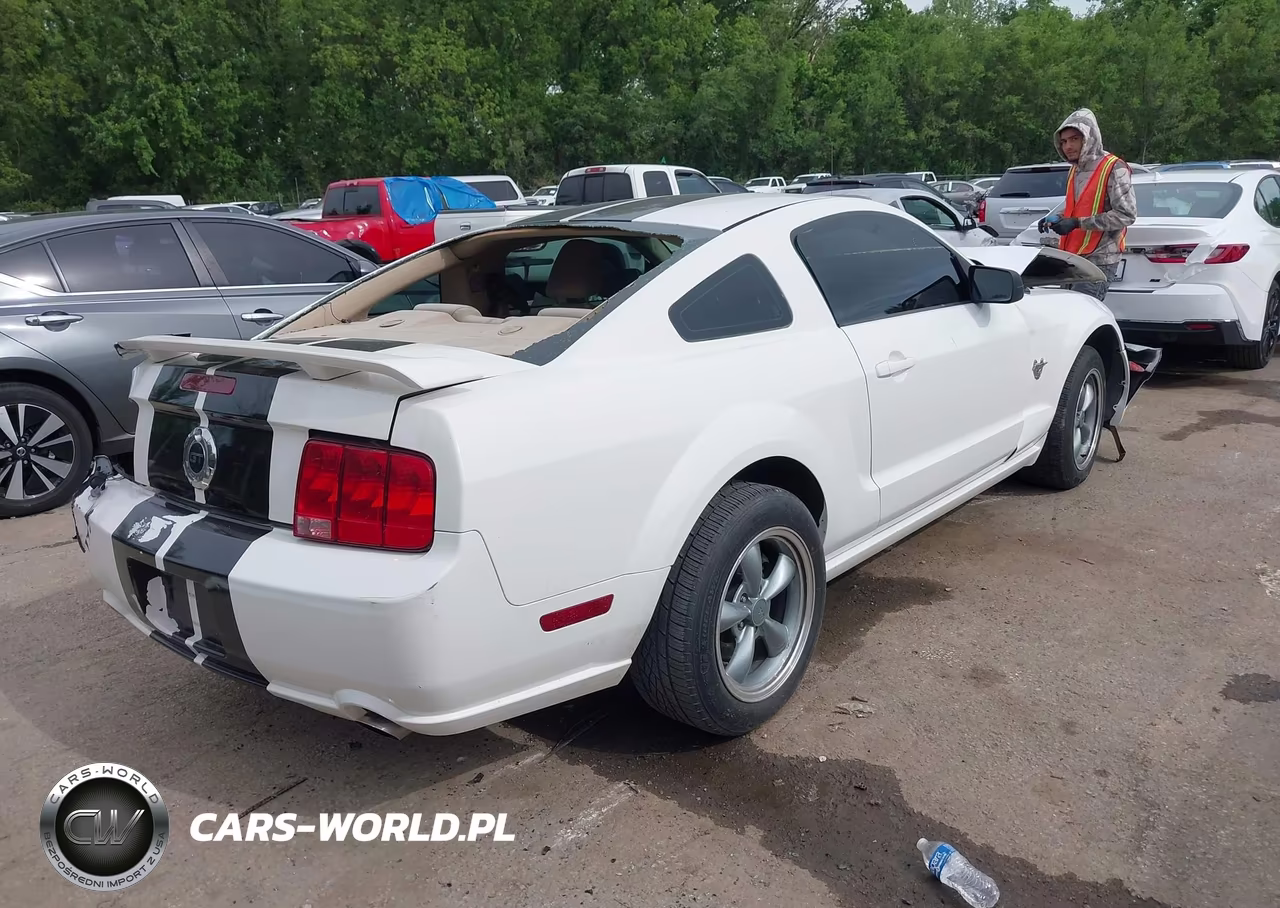 2009 Ford Mustang Gt Premium VIN:1ZVHT82H495133594 - 4