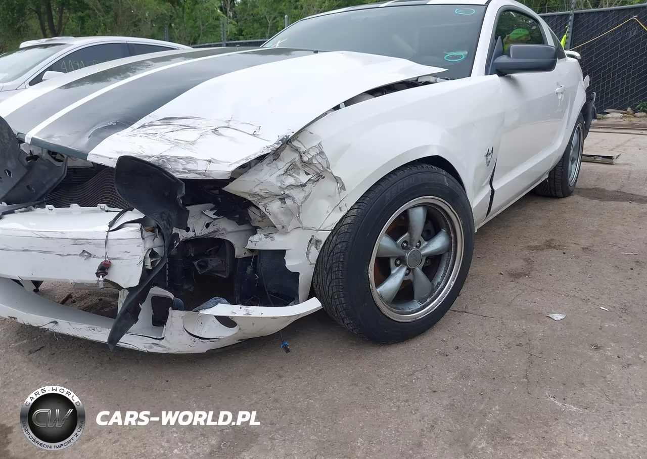 2009 Ford Mustang Gt Premium VIN:1ZVHT82H495133594 - 6