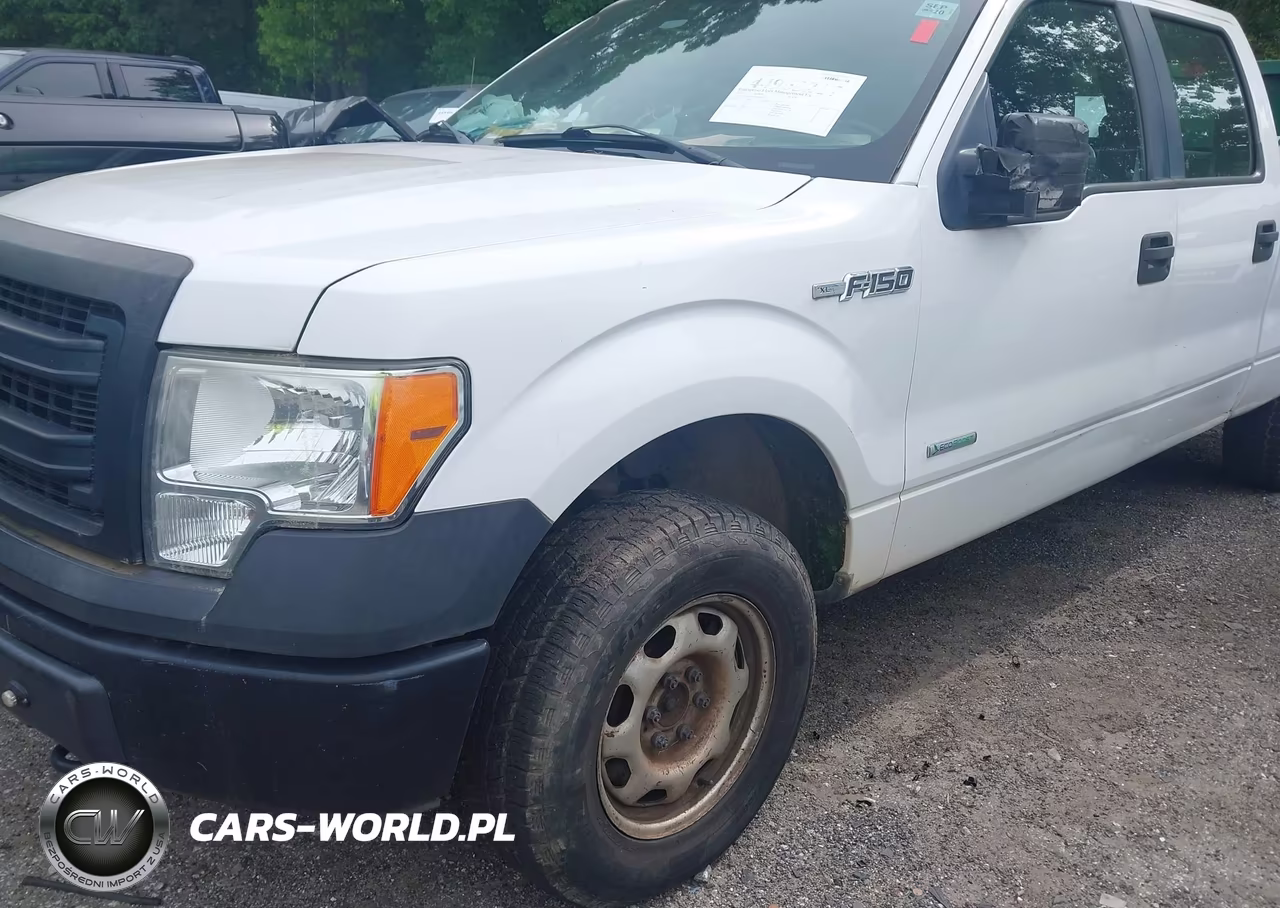 2013 Ford F-150 Xl VIN:1FTFW1ET1DFC09462 - 17