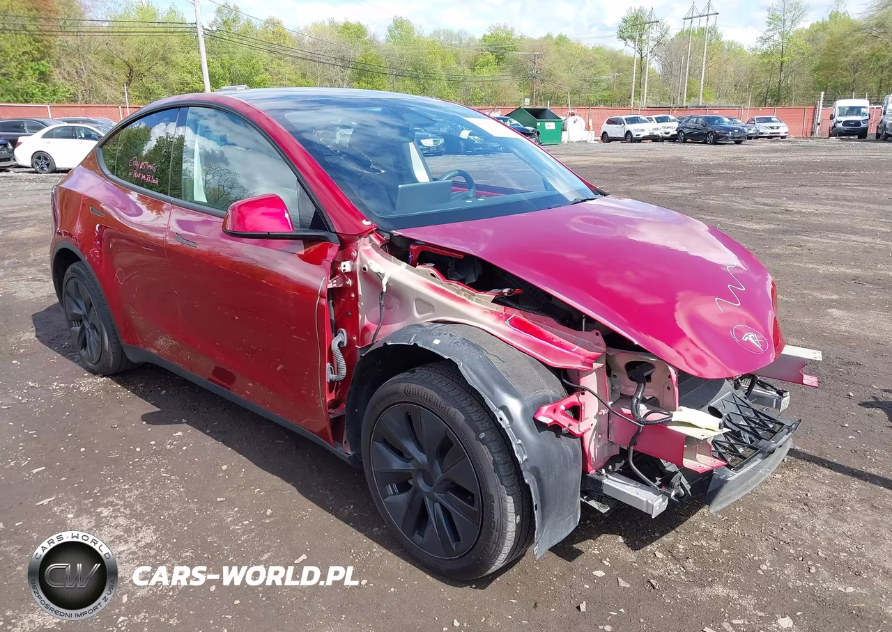 2024 Tesla Model Y Long Range Dual Motor All-Wheel Drive VIN:7SAYGAEE8RF184078 - 19