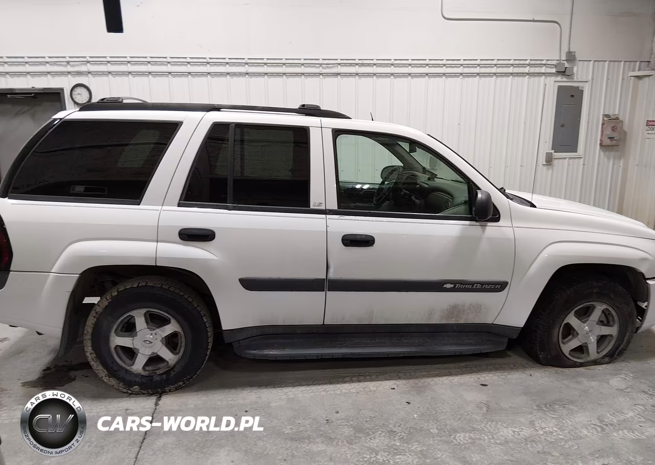 2004 Chevrolet Trailblazer Ls VIN:1GNDT13S542212860 - 13