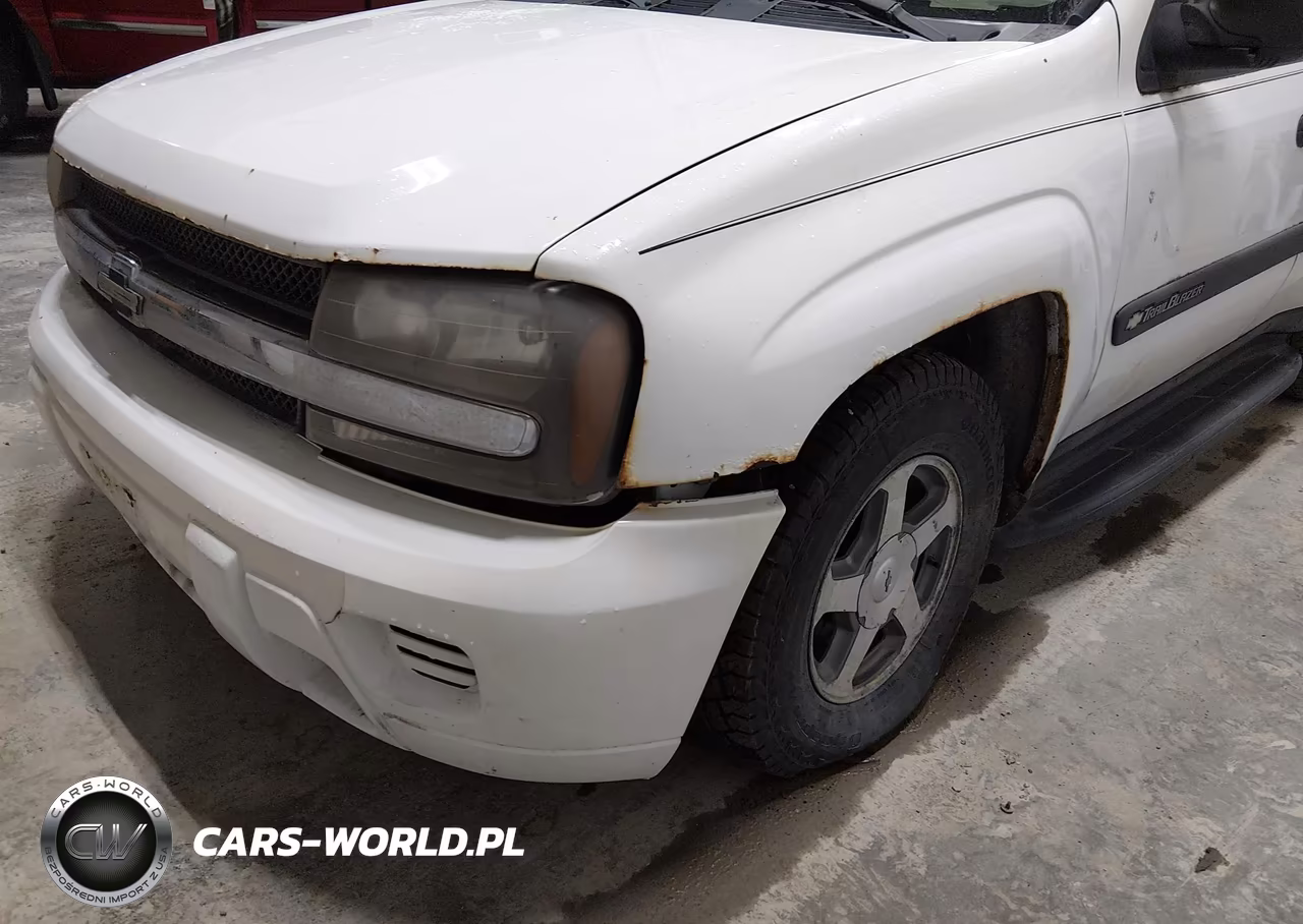 2004 Chevrolet Trailblazer Ls VIN:1GNDT13S542212860 - 17