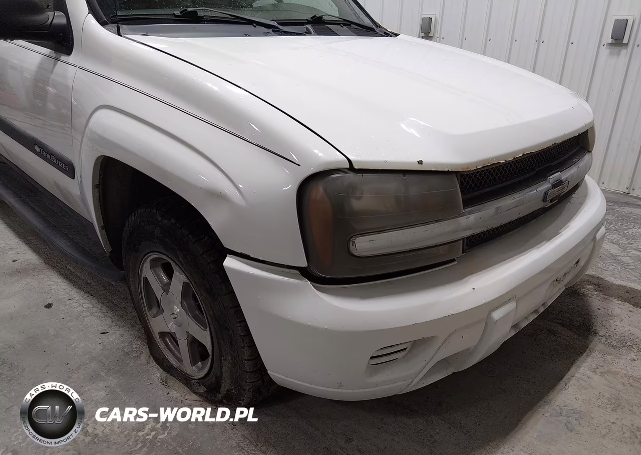 2004 Chevrolet Trailblazer Ls VIN:1GNDT13S542212860 - 18