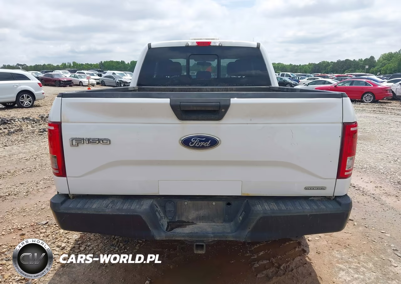 2015 Ford F-150 Xl VIN:1FTEX1E87FFB70903 - 16