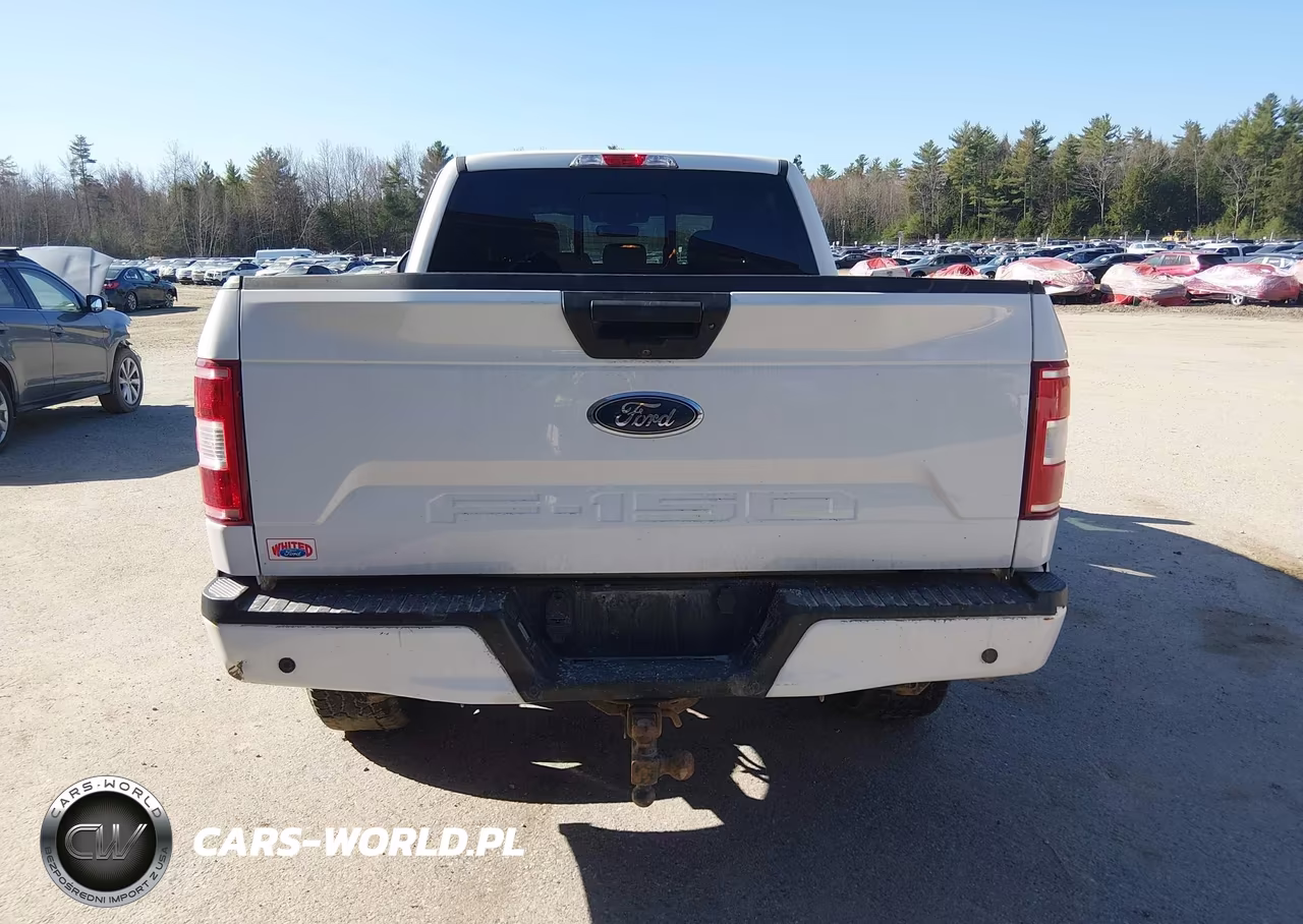 2019 Ford F-150 Xlt VIN:1FTFW1E58KFB71730 - 16