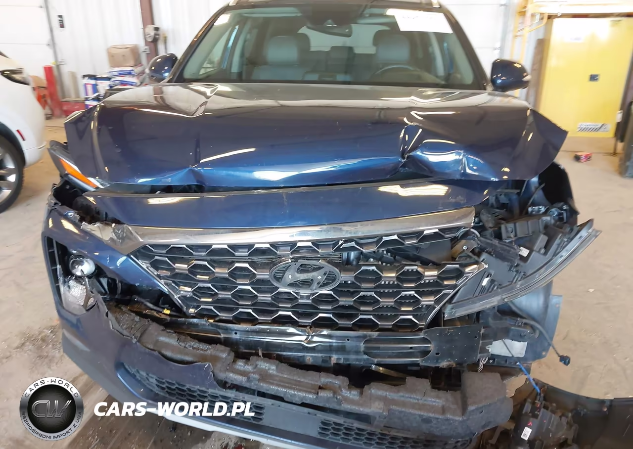 2020 Hyundai Santa Fe Limited 2.0T VIN:5NMS5CAA3LH306388 - 6