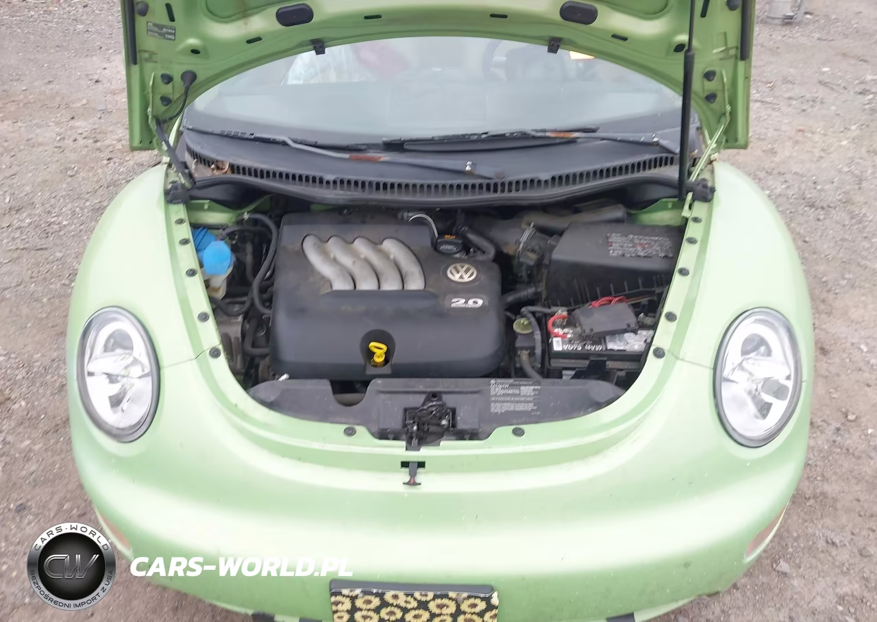 2005 Volkswagen New Beetle Gl VIN:3VWBK31C55M409903 - 10
