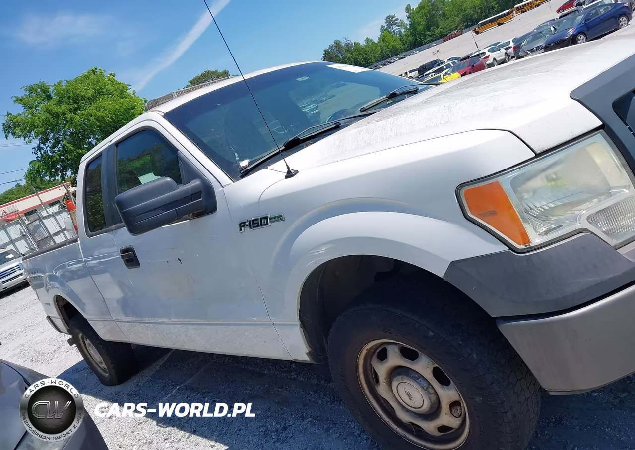 2011 Ford F-150 Xl VIN:1FTFX1EF4BFC28074 - 13