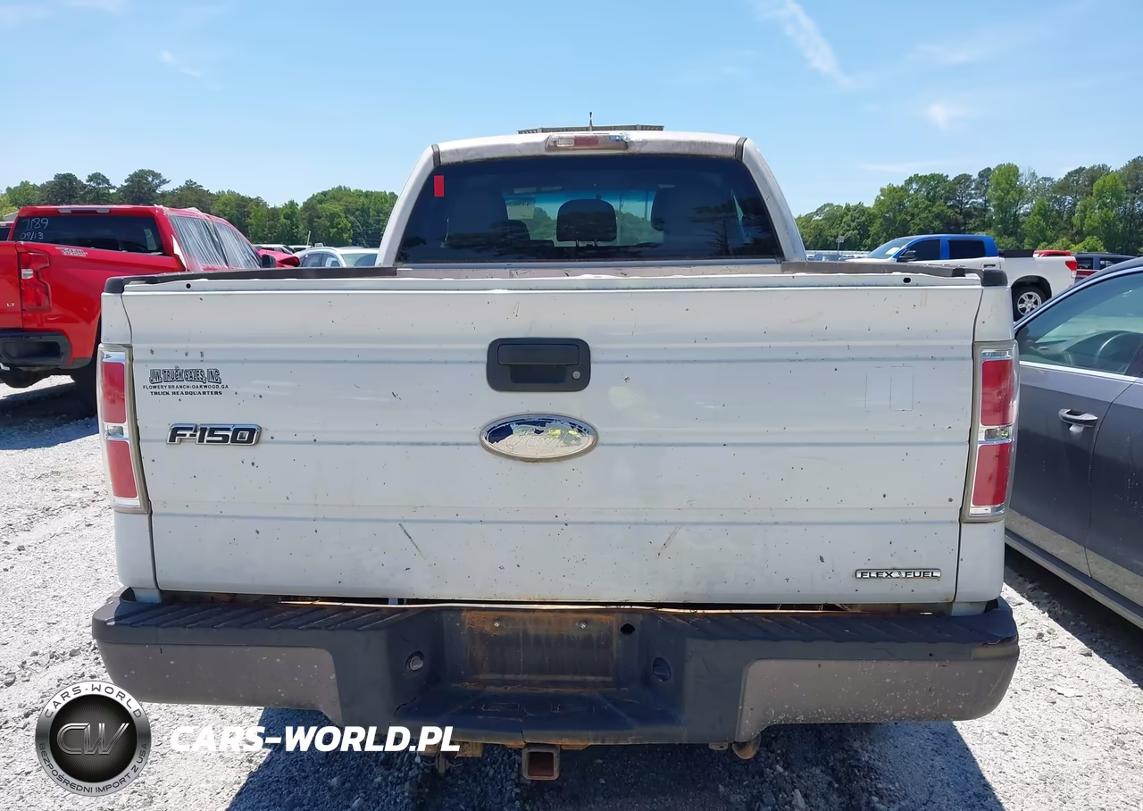 2011 Ford F-150 Xl VIN:1FTFX1EF4BFC28074 - 16