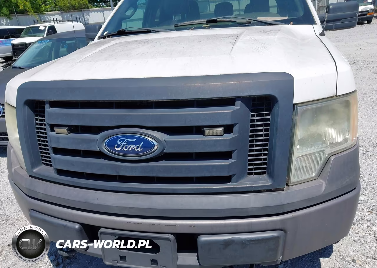 2011 Ford F-150 Xl VIN:1FTFX1EF4BFC28074 - 6