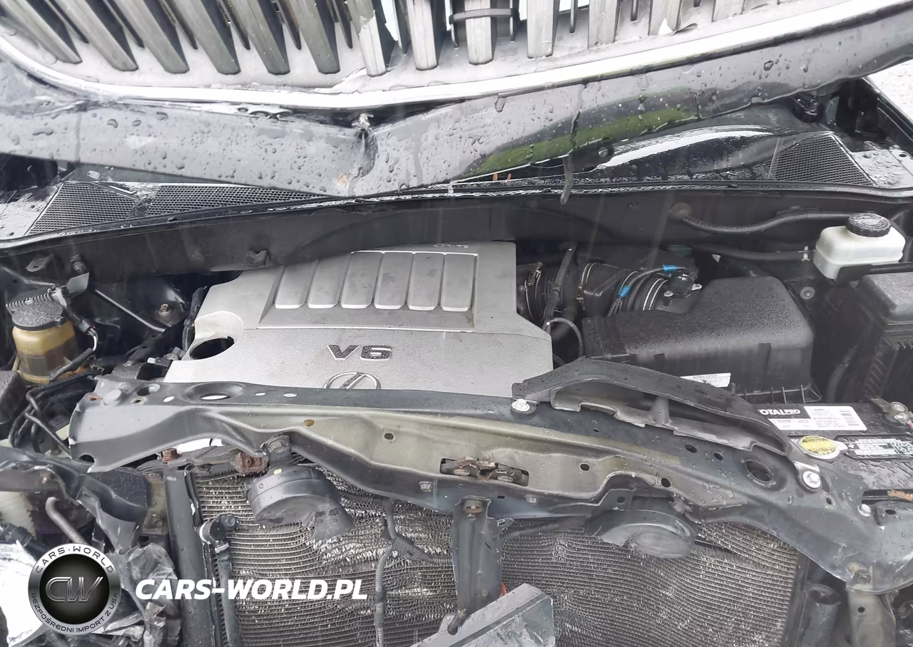 2007 Lexus Rx 350 VIN:2T2HK31U07C042891 - 10