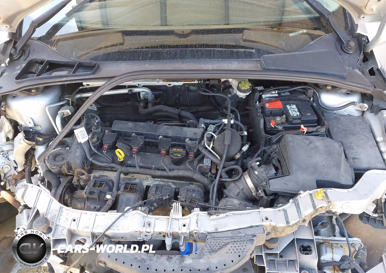 2013 Ford Focus Se VIN:1FADP3F21DL130340 - 10