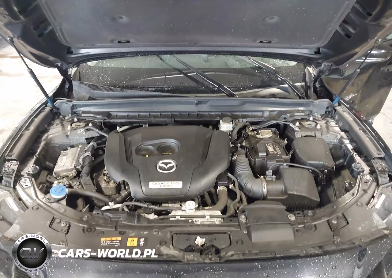 2023 Mazda Cx-50 2.5 Turbo Premium VIN:7MMVABDY7PN114461 - 10
