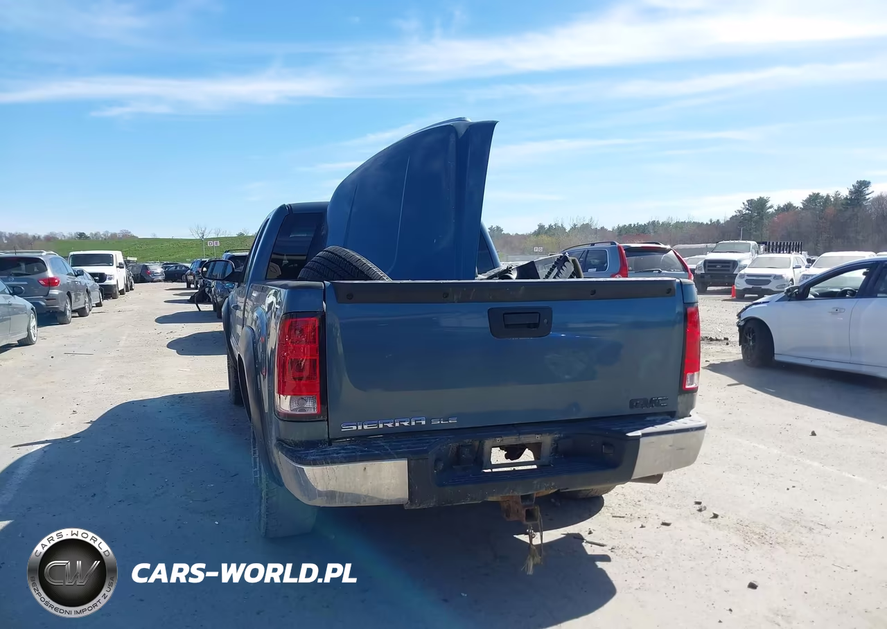 2009 GMC Sierra 1500 Sle VIN:1GTEK29J19Z276347 - 17