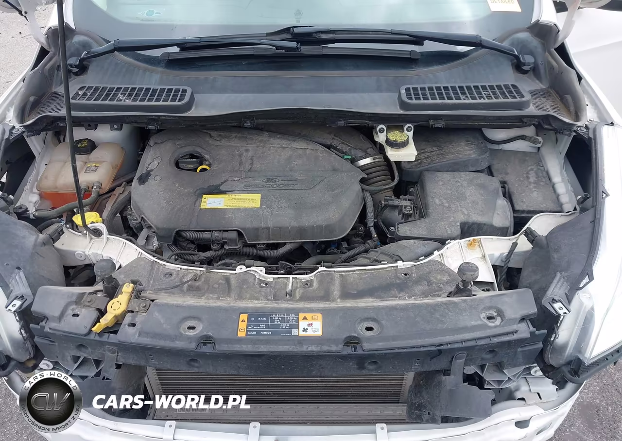 2013 Ford Escape Sel VIN:1FMCU0HX6DUD52013 - 10
