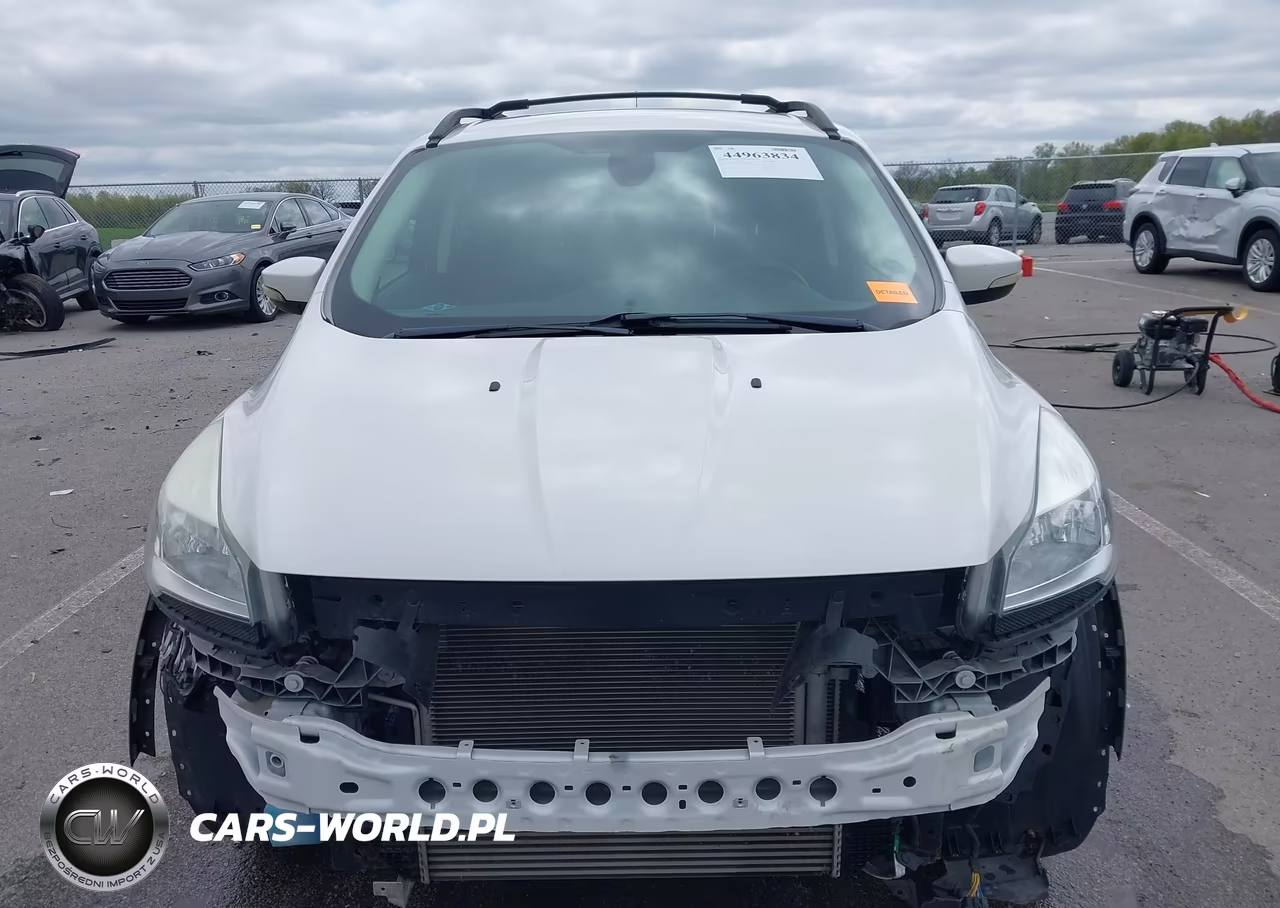 2013 Ford Escape Sel VIN:1FMCU0HX6DUD52013 - 12