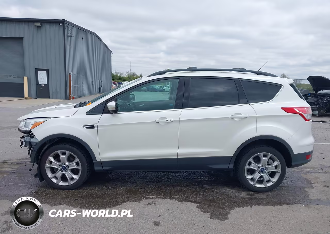 2013 Ford Escape Sel VIN:1FMCU0HX6DUD52013 - 14