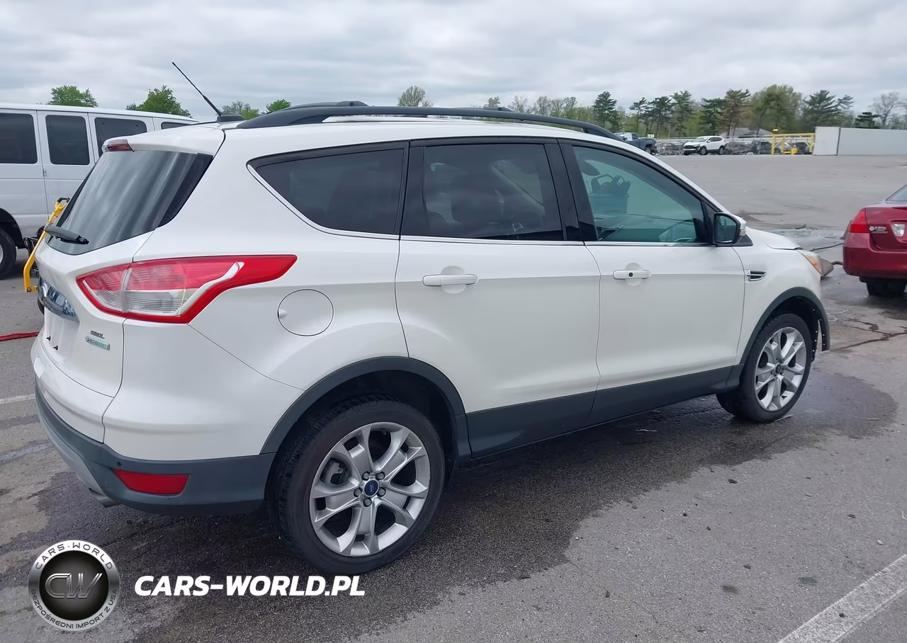 2013 Ford Escape Sel VIN:1FMCU0HX6DUD52013 - 4