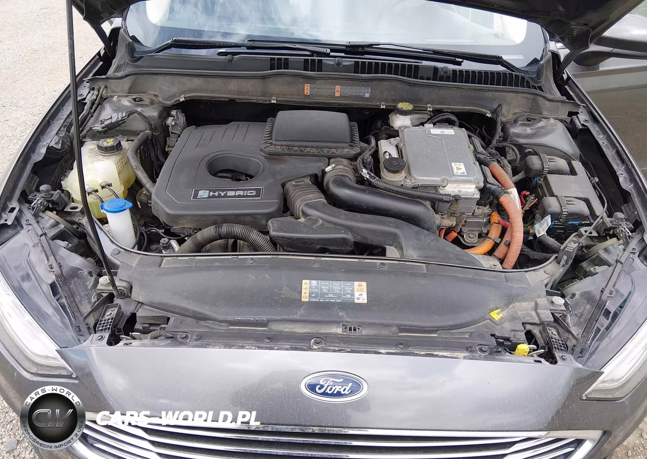 2019 Ford Fusion Hybrid Se VIN:3FA6P0LU2KR240115 - 10